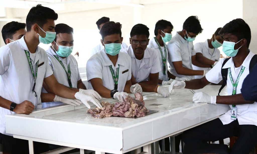 Students practicing with cadaver in UV Gullas College of Medicine Philippines